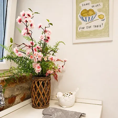 Apartament Dida Centar *